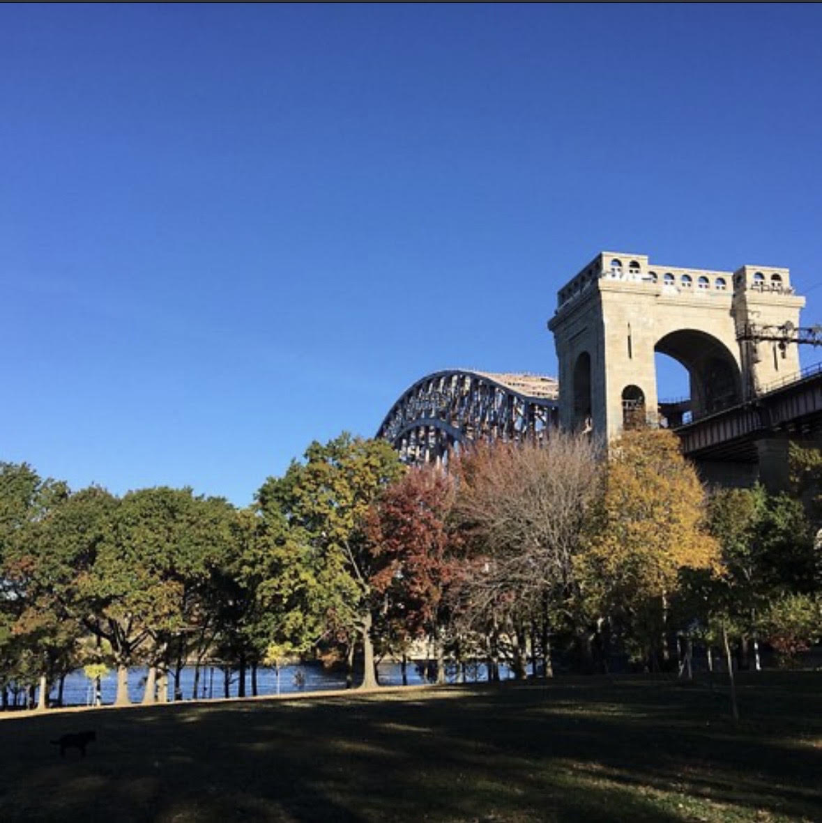 Hell Gate Bridge seen from a tree-lined park lawn in Astoria